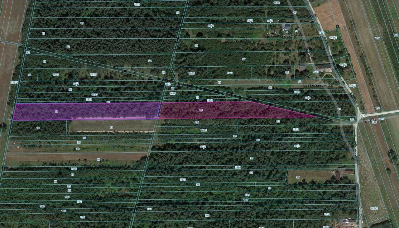 Działka leśna Adamów, ul. Rycerska. Zdjęcie 6