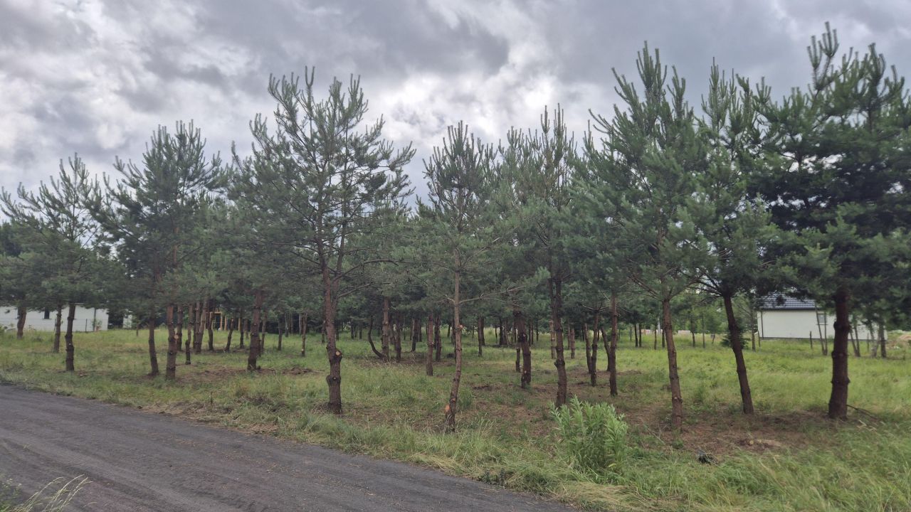 Działka inwestycyjna Białystok Dojlidy Górne, ul. Margerytki. Zdjęcie 9