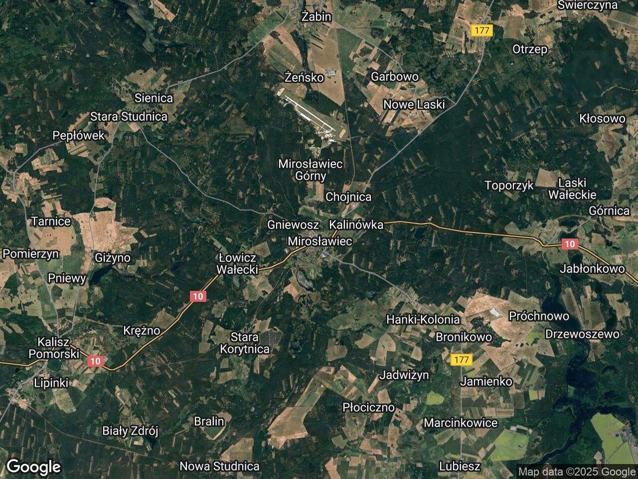 bliźniak Mirosławiec