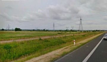 Działka rolna Reptowo