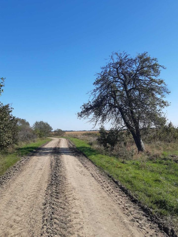 Działka budowlana Surochów. Zdjęcie 4