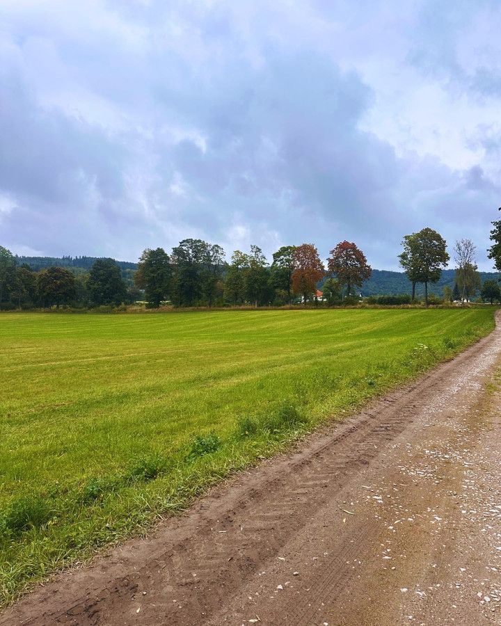 Działka budowlana Janowice Wielkie. Zdjęcie 23