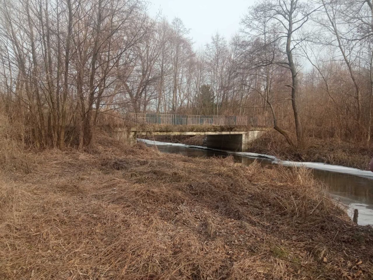 Działka rekreacyjna Kornie. Zdjęcie 4