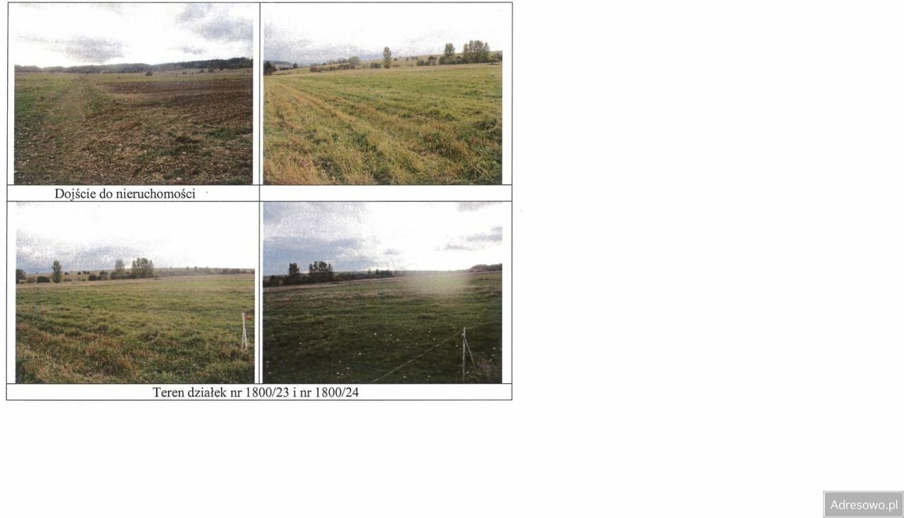 Działka rolna Zubrzyca Dolna. Zdjęcie 2