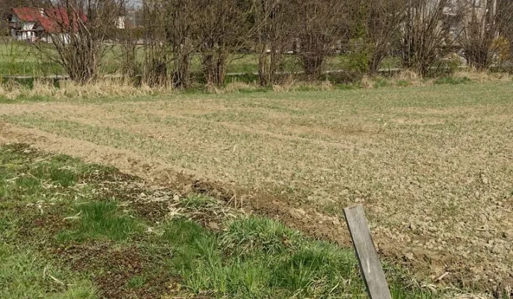 Działka budowlana Marklowice Górne, ul. Ustronna