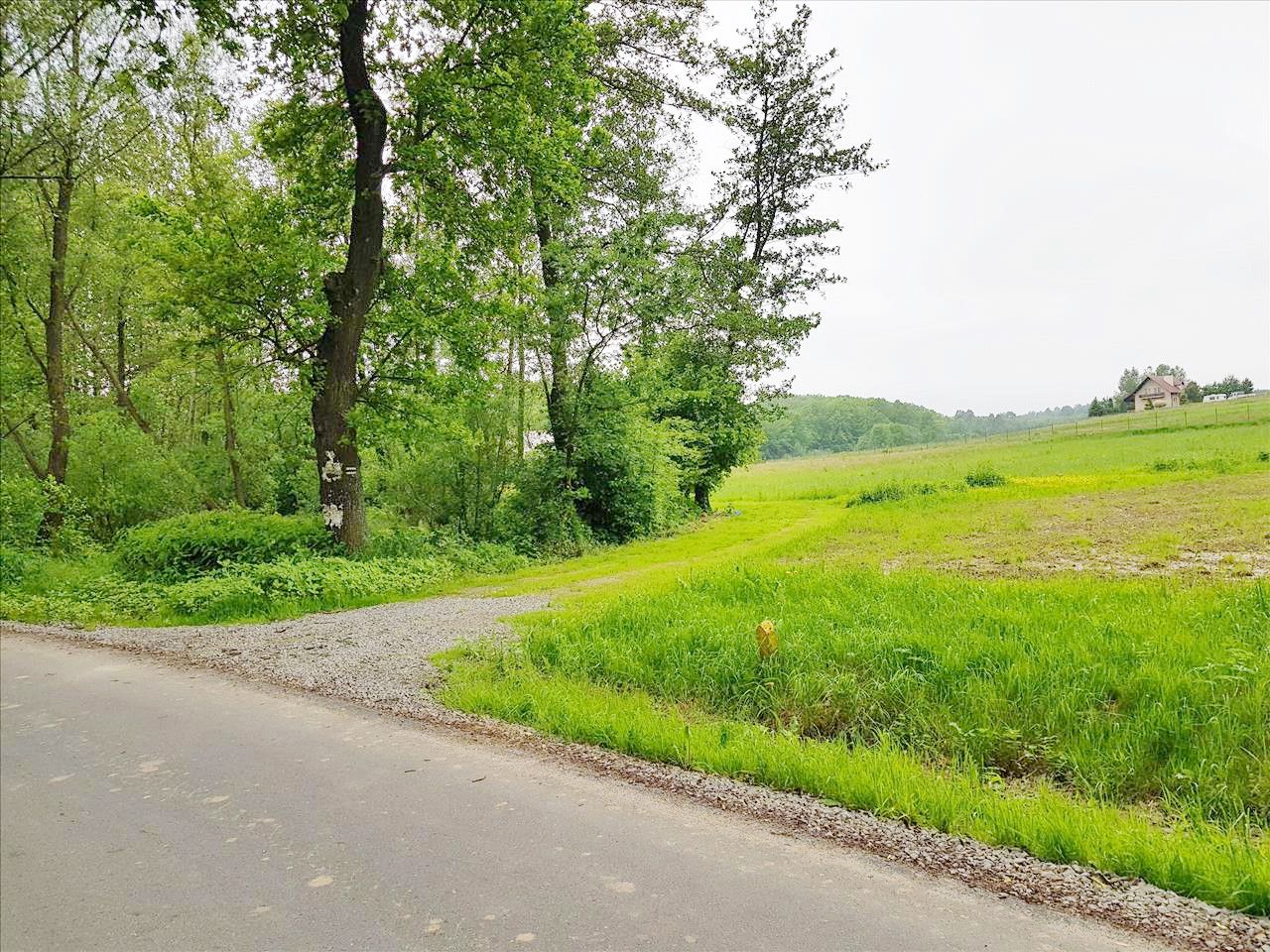 Działka budowlana Dylągówka