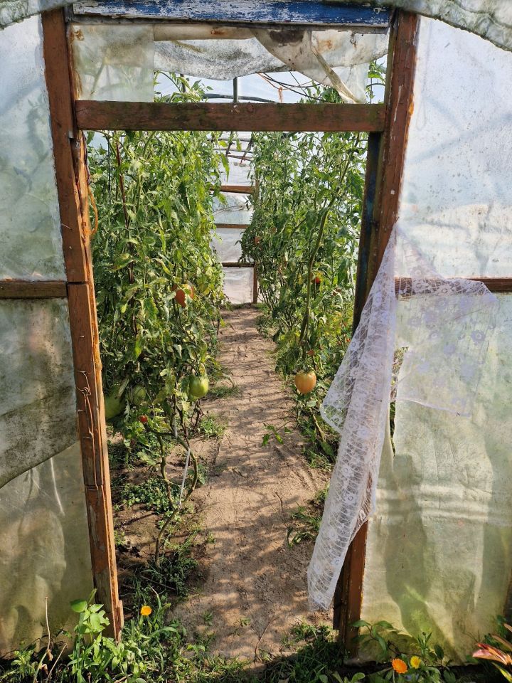 Działka rod Stargard, ul. Grudziądzka. Zdjęcie 7