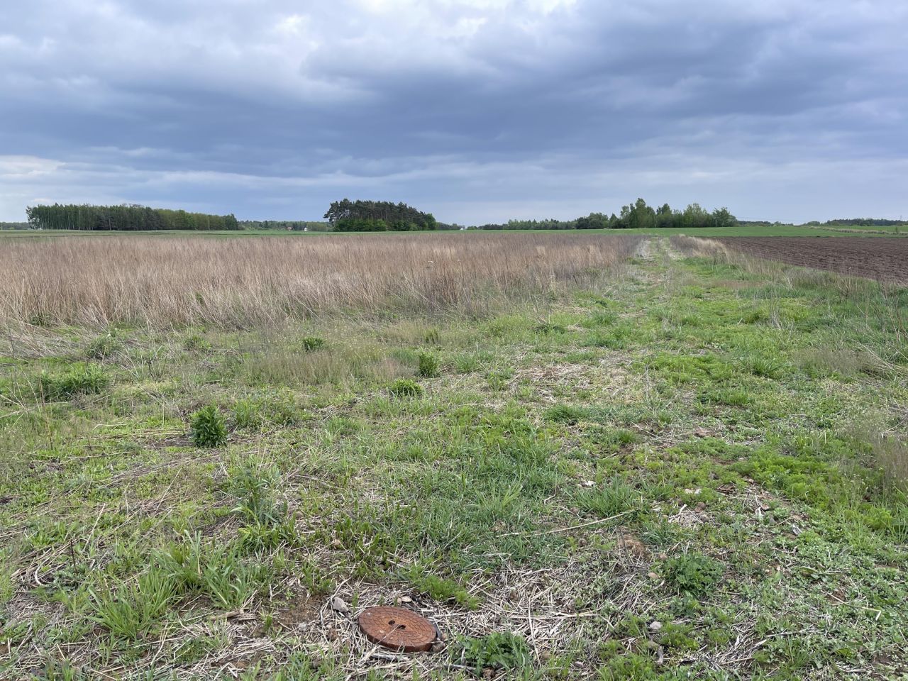Działka budowlana Izbiska. Zdjęcie 3