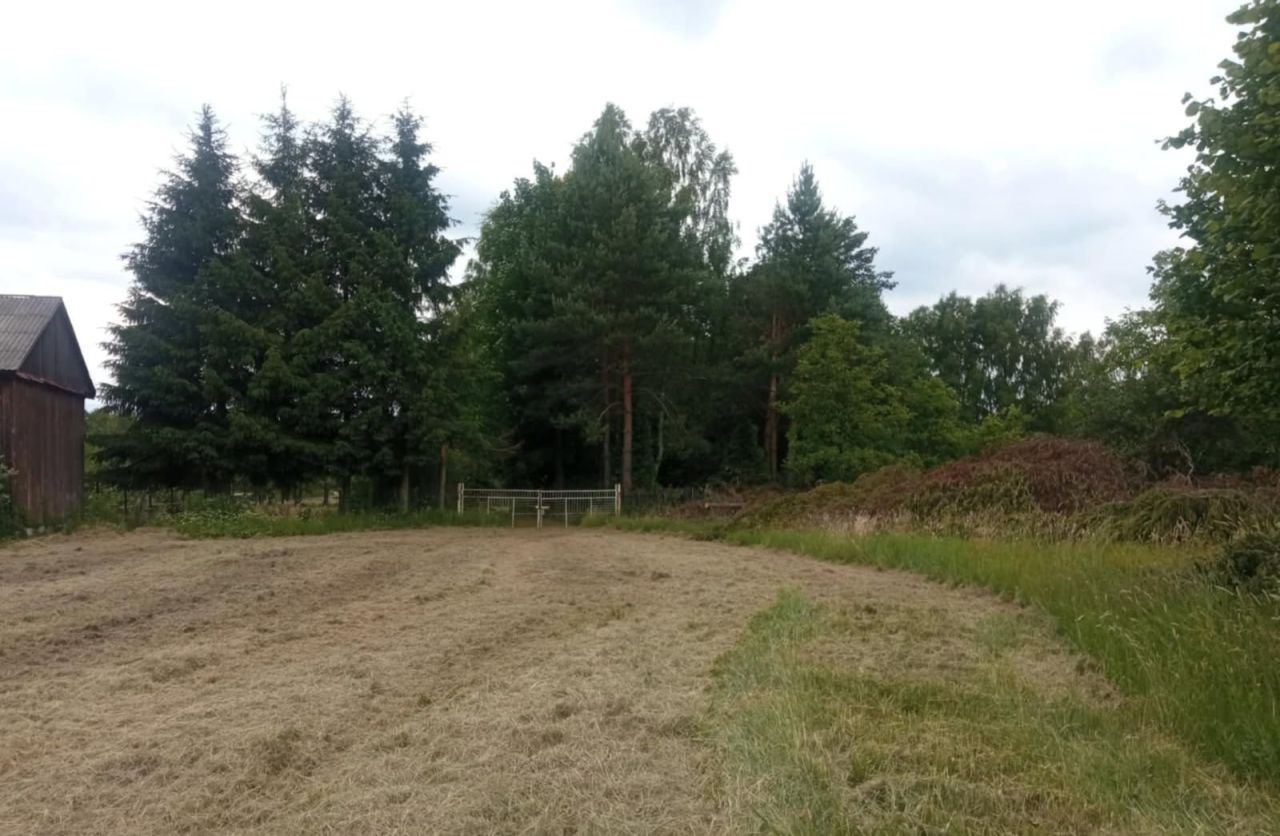 Działka budowlana Borki. Zdjęcie 8