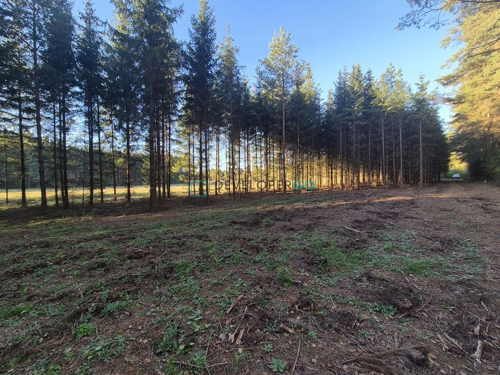 Działka budowlana Szczebra. Zdjęcie 4