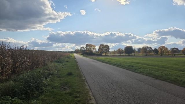 Działka rolna Nowe Miasto-Folwark. Zdjęcie 6