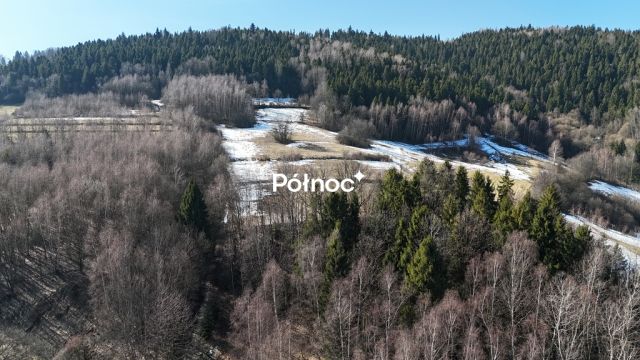Działka rolna Kamienica. Zdjęcie 3