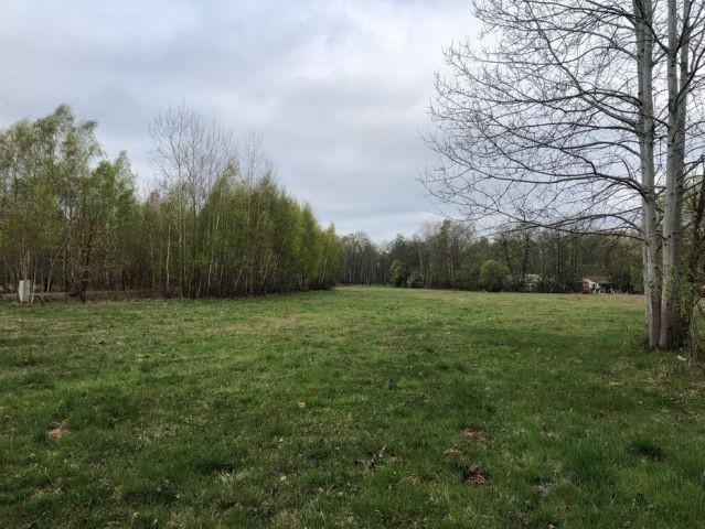 Działka budowlana Budy Michałowskie. Zdjęcie 1