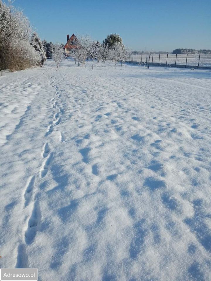 dom wolnostojący, 3 pokoje Zynie. Zdjęcie 12