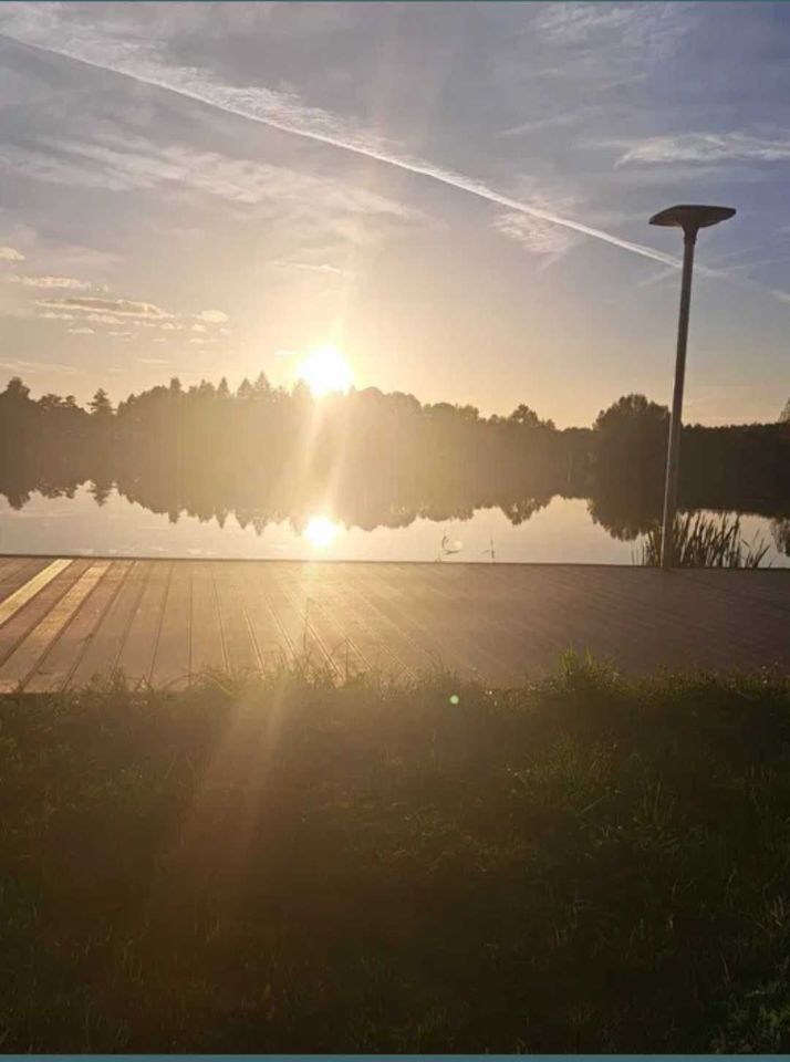 Działka rod Wolbrom. Zdjęcie 5