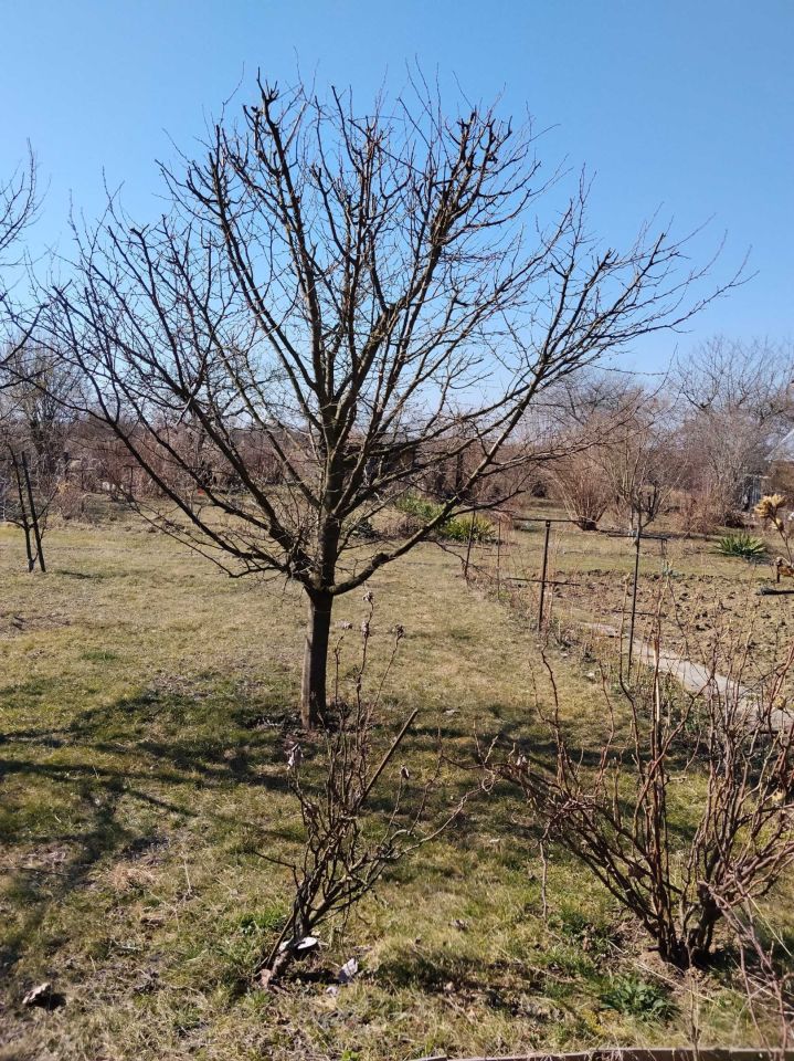 Działka rod Uniszowice. Zdjęcie 8