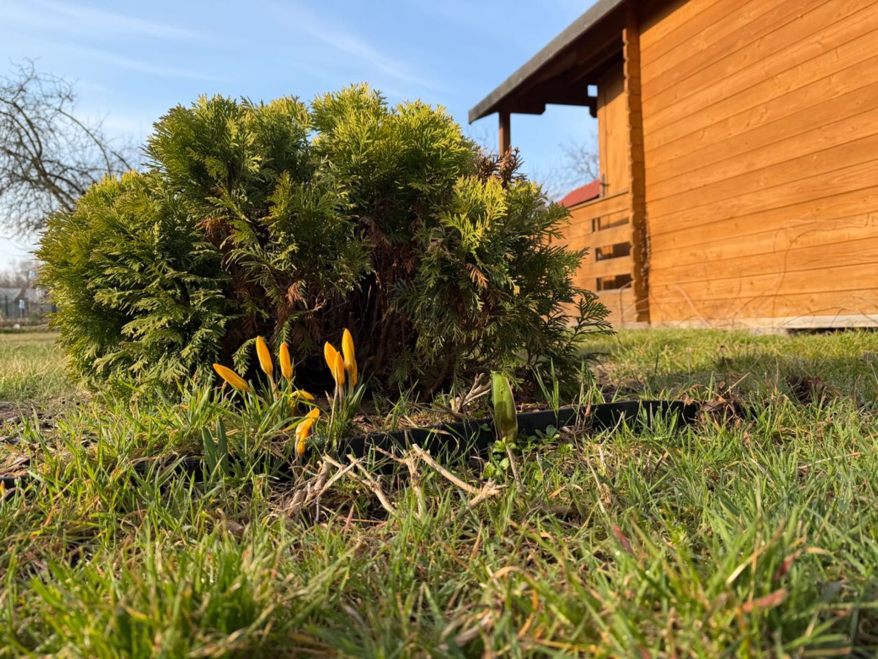 Działka rod Bielany Wrocławskie. Zdjęcie 3