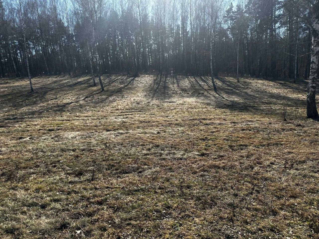 Działka rekreacyjna Rogowo. Zdjęcie 8