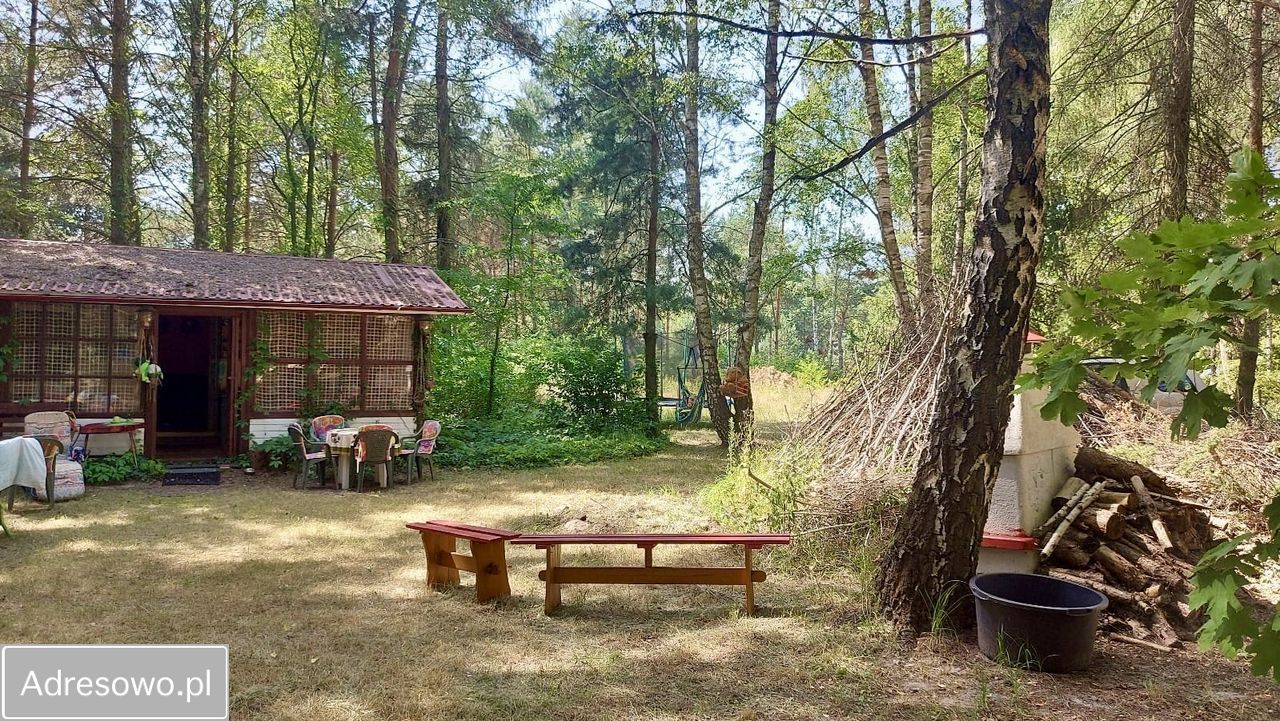 Działka Ldzań. Zdjęcie 6