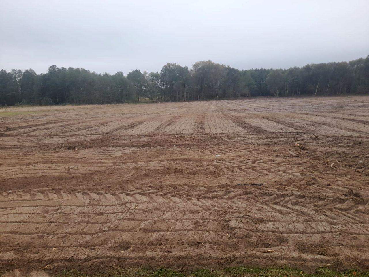 Działka budowlana Anielew. Zdjęcie 5