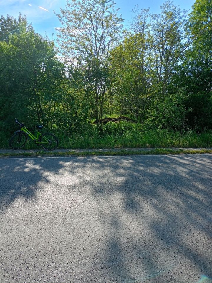 Działka rolna Karwia. Zdjęcie 3