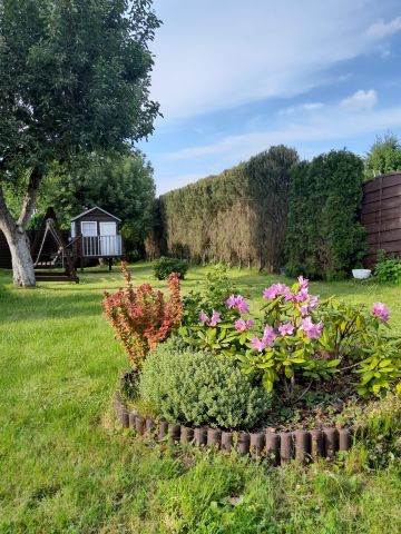 Działka rod Bełchatów, ul. Czapliniecka. Zdjęcie 1