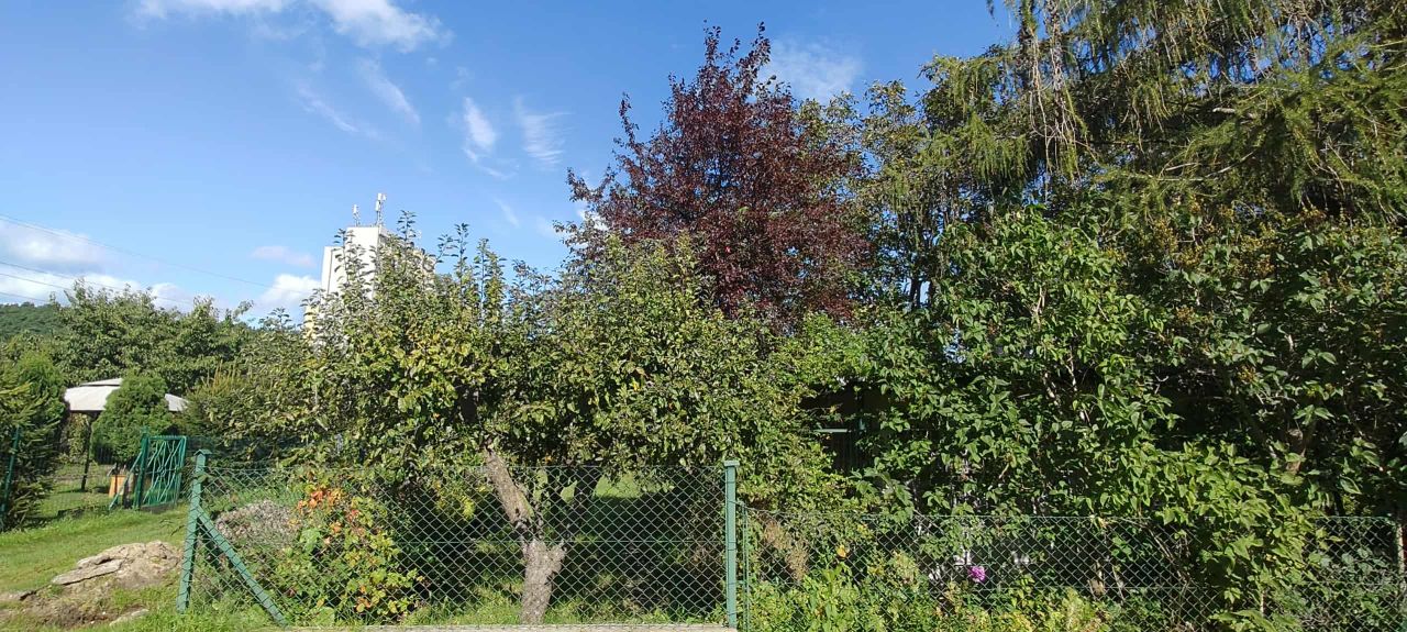 Działka rod Sopot Świemirowo, ul. Mikołaja Reja. Zdjęcie 10