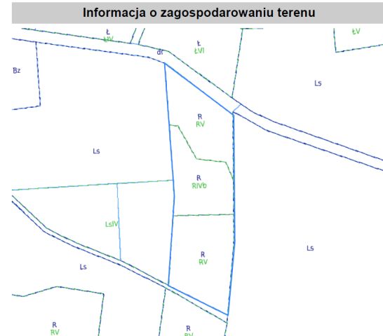 Działka rolna Konin Żagański. Zdjęcie 9