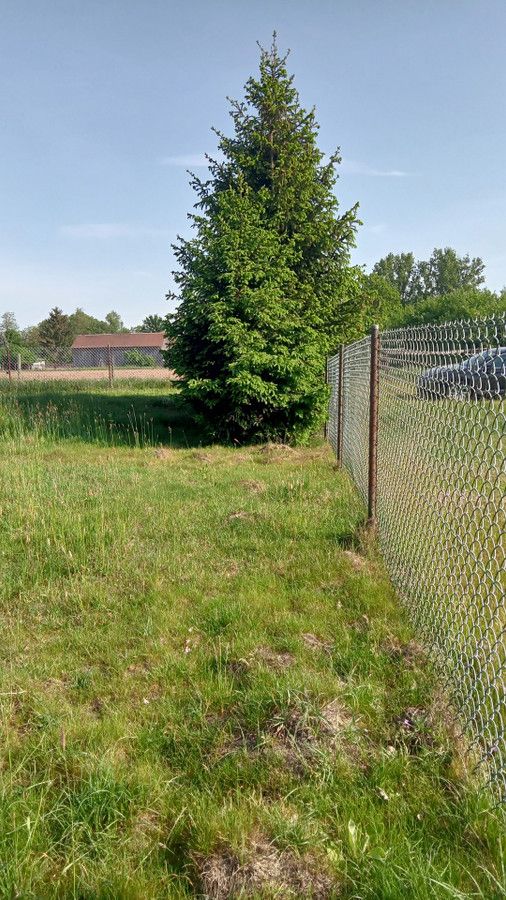 Działka rolna Skęczniew. Zdjęcie 9