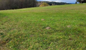 Działka budowlana Wysoka