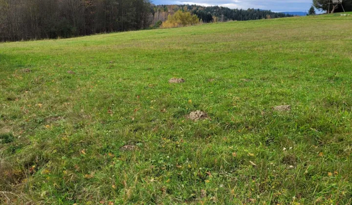 Działka budowlana Wysoka