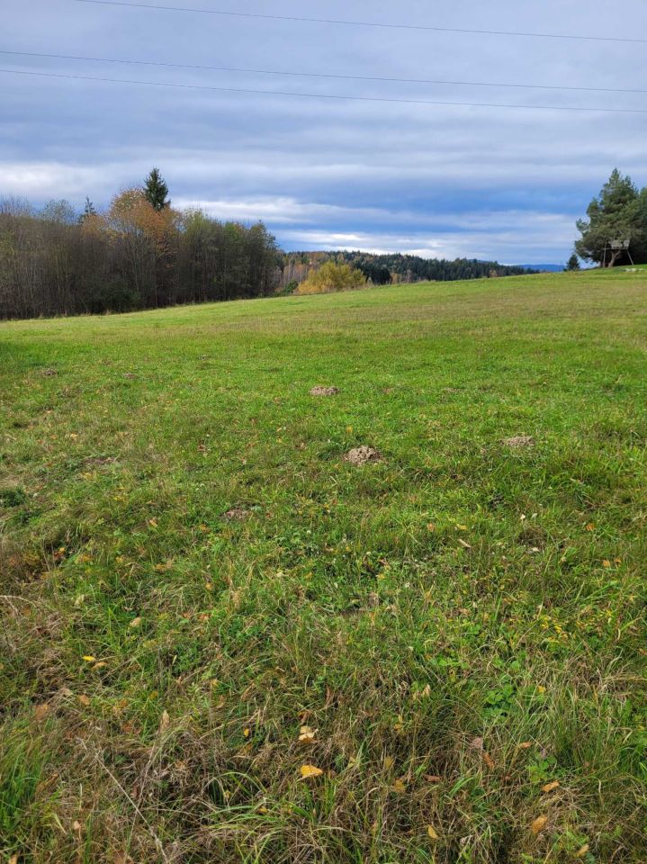 Działka budowlana Wysoka