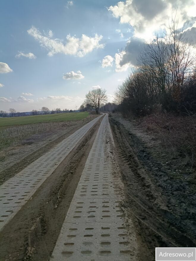 Działka rolna Modlinek. Zdjęcie 5