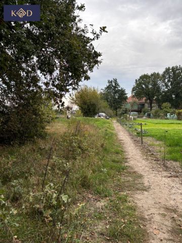 dom wolnostojący, 12 pokoi Psary. Zdjęcie 16