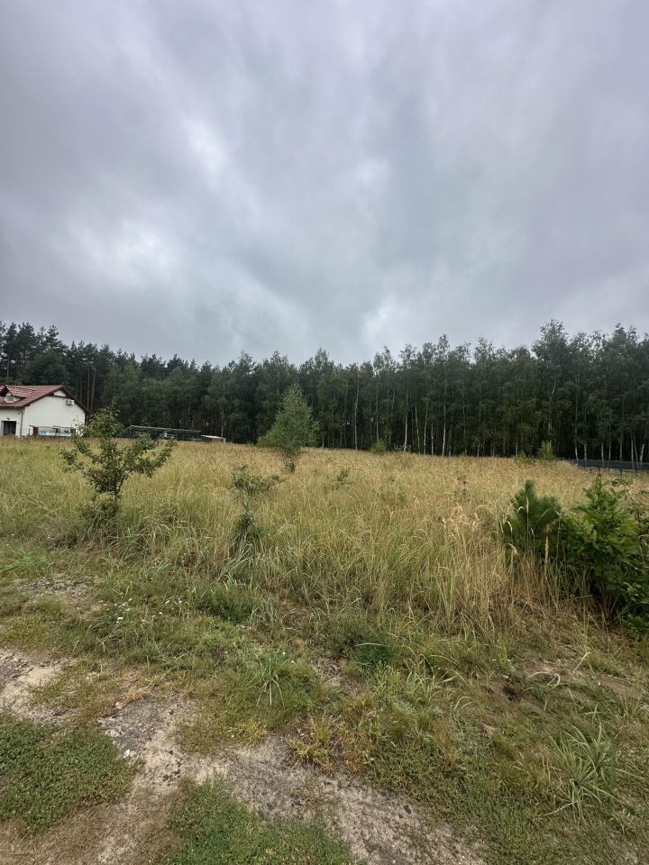 Działka siedliskowa Kuźnica Głogowska Myszyniec, Tulipanowa. Zdjęcie 4