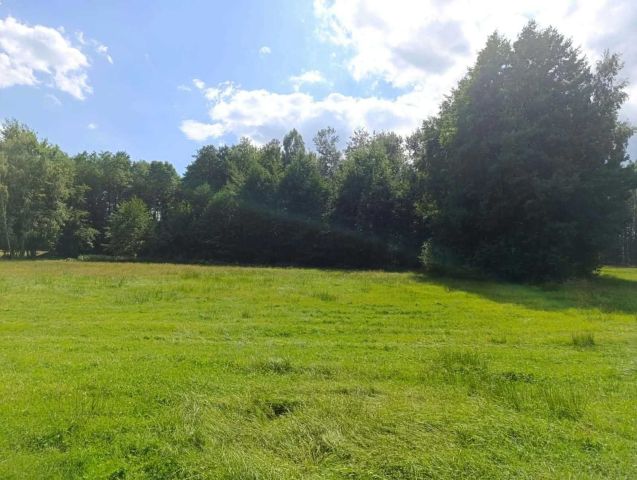 Działka siedliskowa Siedlików. Zdjęcie 1