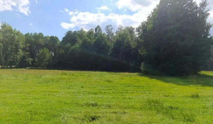 Działka siedliskowa Siedlików