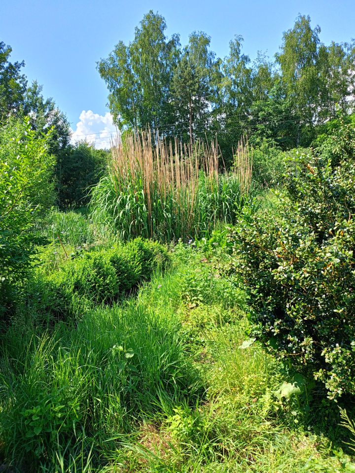 Działka rekreacyjna Gdańsk Owczarnia, ul. Kwiatowa