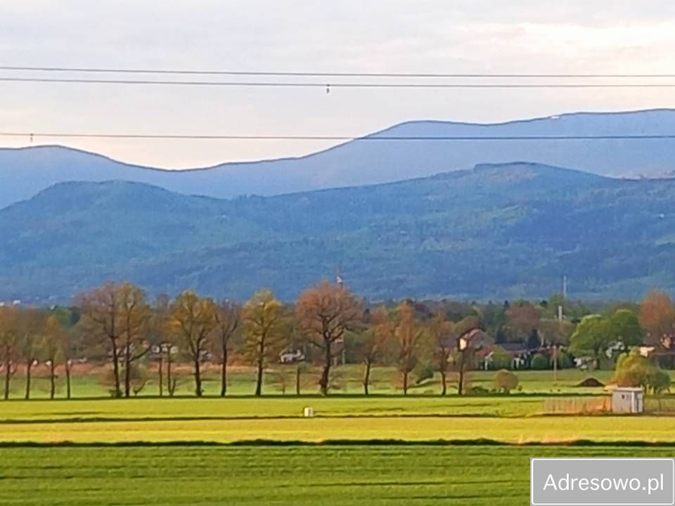 Działka rolna Wojcieszyce. Zdjęcie 2