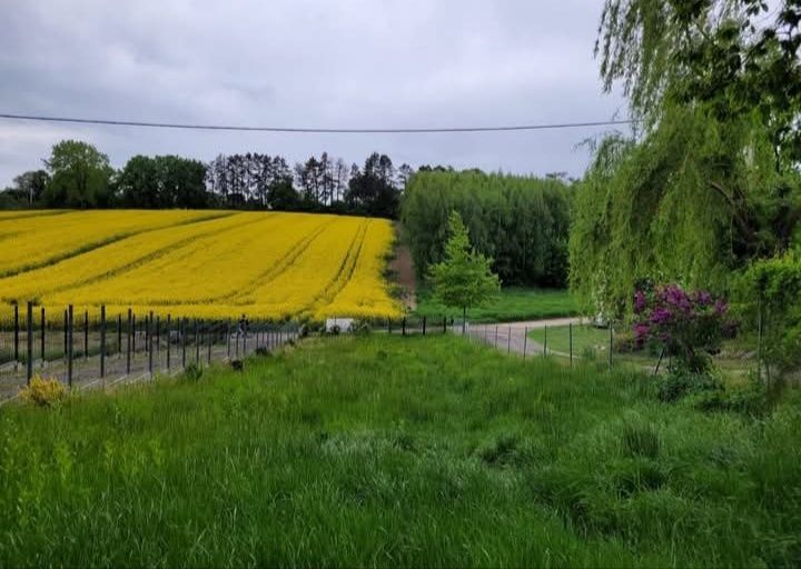 Działka budowlana Lublin, ul. Węglinek. Zdjęcie 4