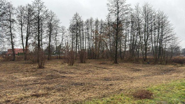 Działka budowlana Jaktorów, Szwolwzerow. Zdjęcie 4