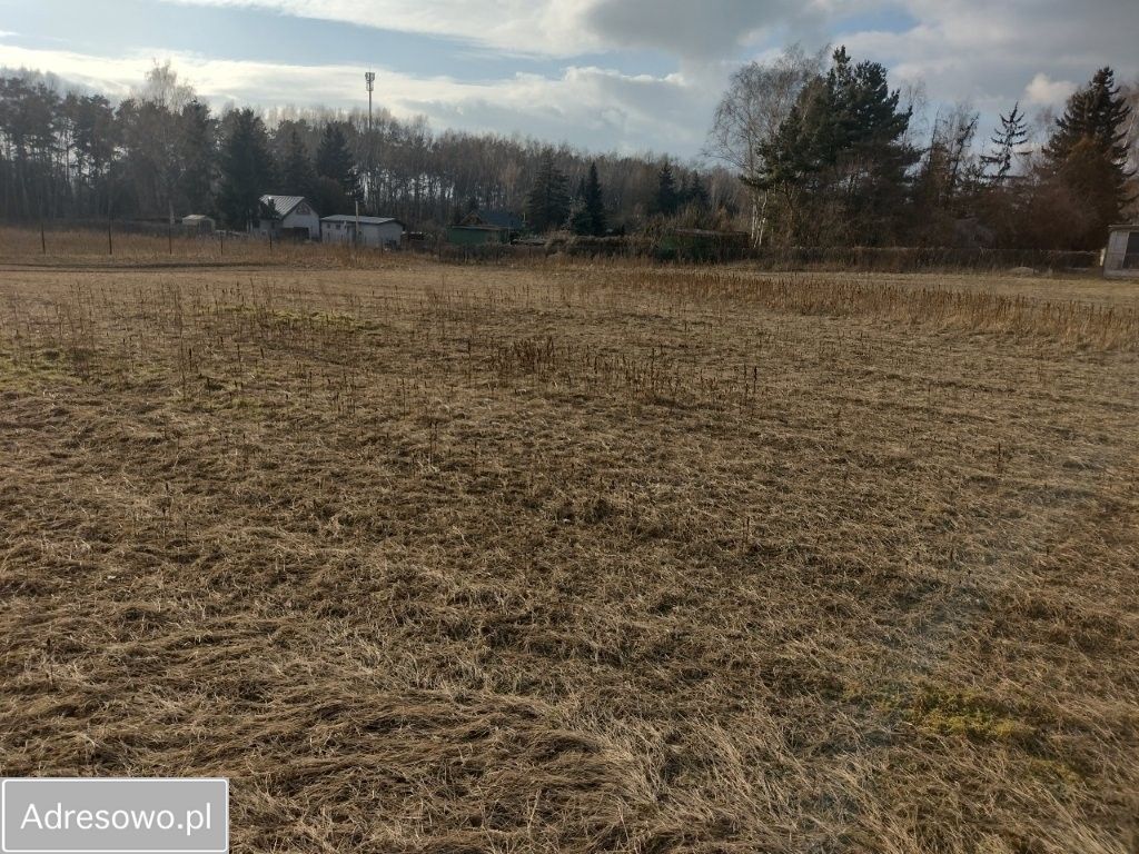 Działka budowlana Szamotuły, ul. Halderberge. Zdjęcie 9