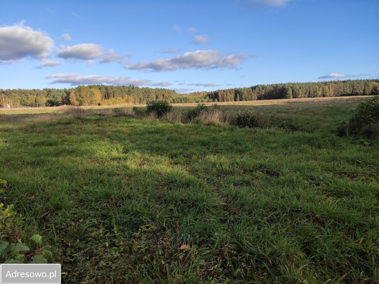 Działka rolno-budowlana Wiewiórowo. Zdjęcie 13