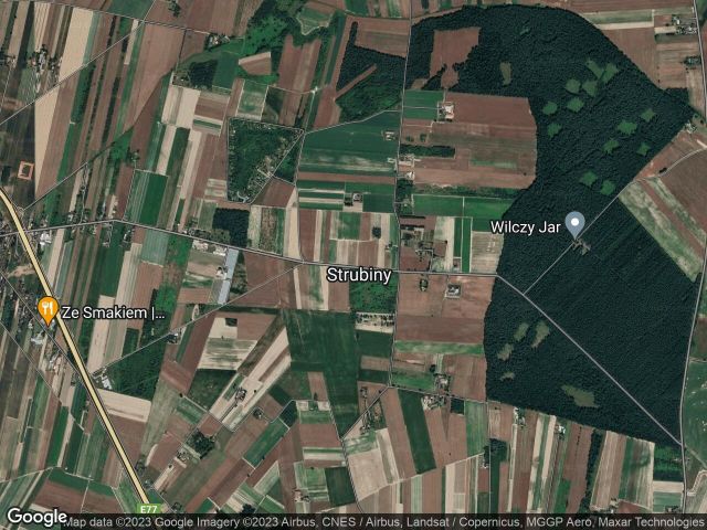 Działka rolna Strubiny. Zdjęcie 1