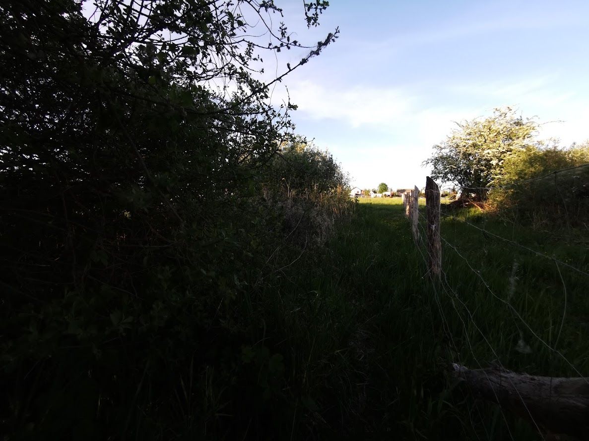 Działka budowlana Rogowo, ul. Topolowa. Zdjęcie 9