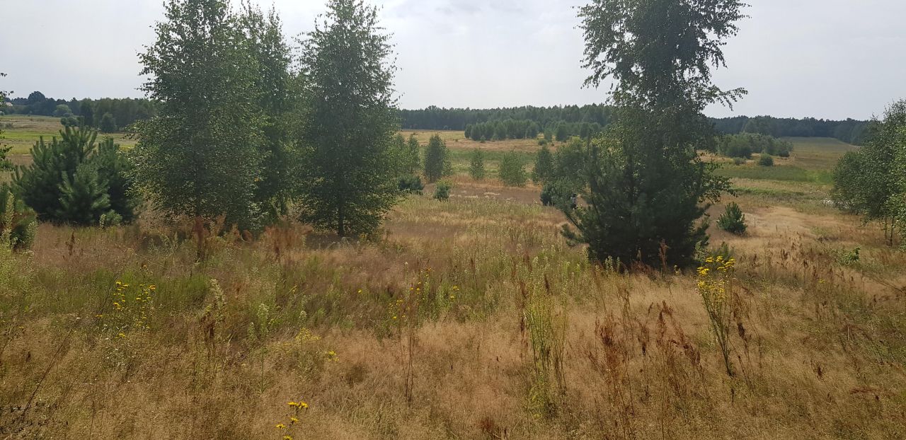 Działka rolno-budowlana Gąsawy Plebańskie. Zdjęcie 3