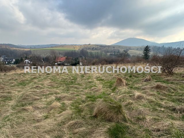 Działka Struga. Zdjęcie 9