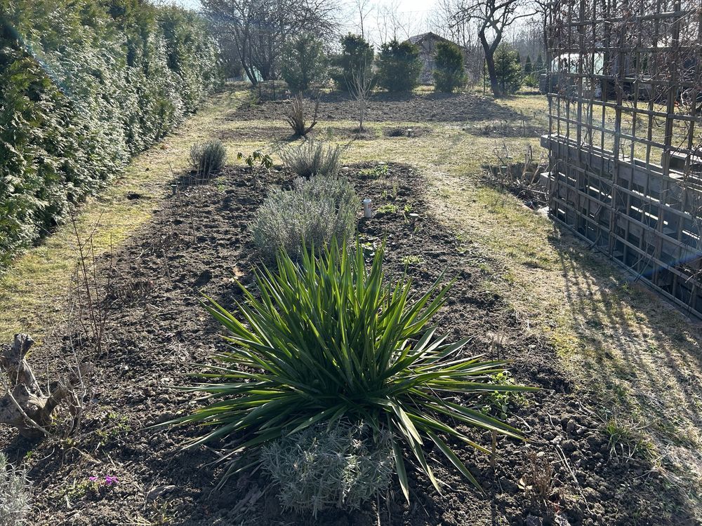 Działka rod Kwidzyn, ul. Furmańska. Zdjęcie 2