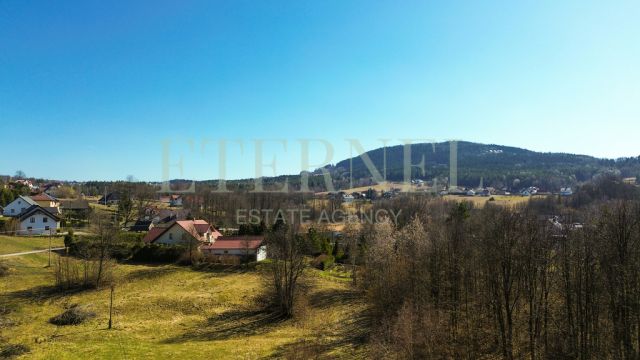 Działka rolna Stara Wieś. Zdjęcie 7