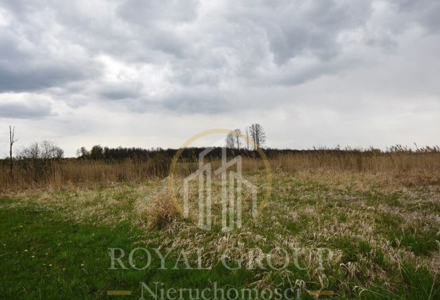 Działka rolna Giżyce. Zdjęcie 5